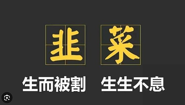GameFi新纪元：MOBOX联手P12开启链游产业革命